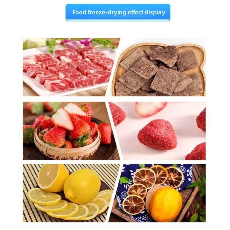 Вакуумный сублиматор для пищев – обзор и цена Food And Snacks